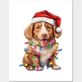 Christmas Nova Scotia Duck Tolling Retriever Posters and Art